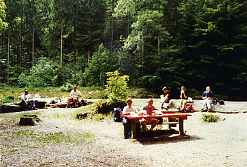 Pause dejeuner pour toute l'quipe sur une petite aire de repas au milieu d'une grande fort de sapins.